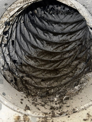 Mega Dryer and Air Duct Cleaners Mega Dryer and Air Duct Cleaners AD1